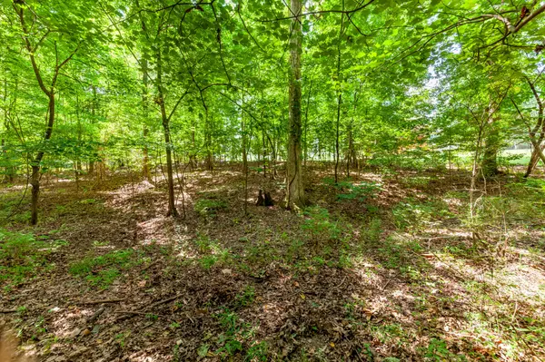 107 Kimberly Dr,  Dickson,  TN 37055