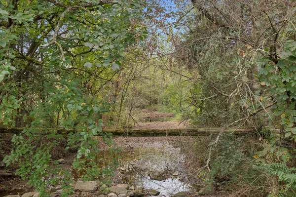 266 Boonshill Rd, Fayetteville, TN 37334