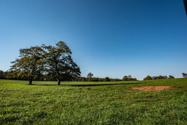 6415 Pinewood Rd, Nunnelly, TN 37137