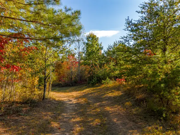 0 Overhead Bridge Rd, Hampshire, TN 38461