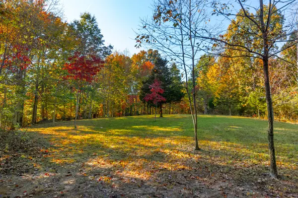 0 Overhead Bridge Rd, Hampshire, TN 38461