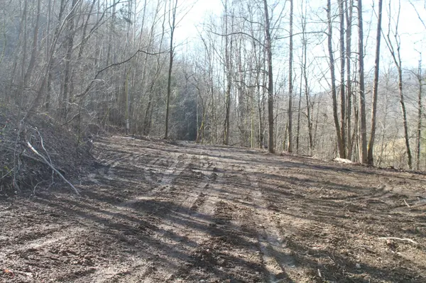0 Williford Ln, Gainesboro, TN 38562