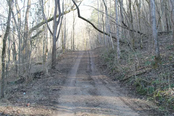 0 Williford Ln, Gainesboro, TN 38562