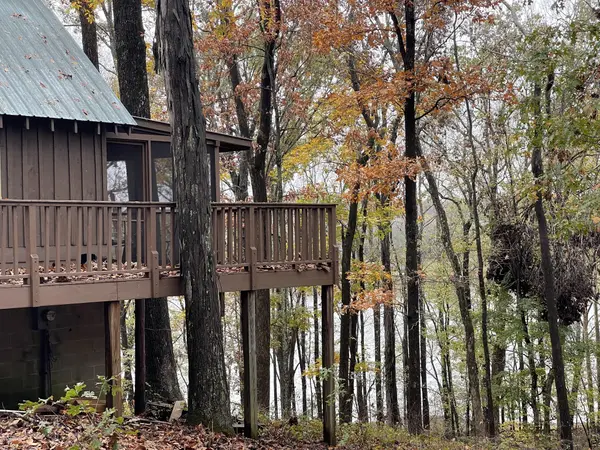 420 Harbor Dr, Bumpus Mills, TN 37028
