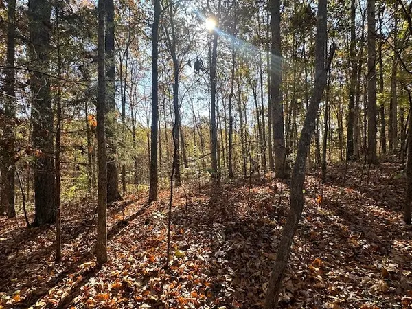 93 Ridgetop Dr, Bon Aqua, TN 37025