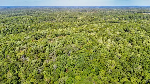 93 Ridgetop Dr, Bon Aqua, TN 37025