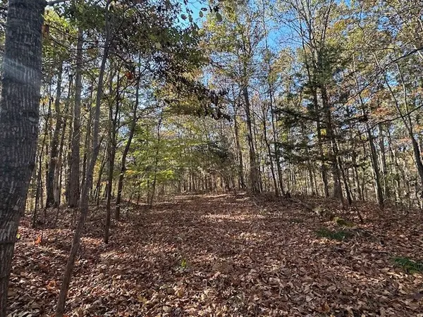 93 Ridgetop Dr, Bon Aqua, TN 37025