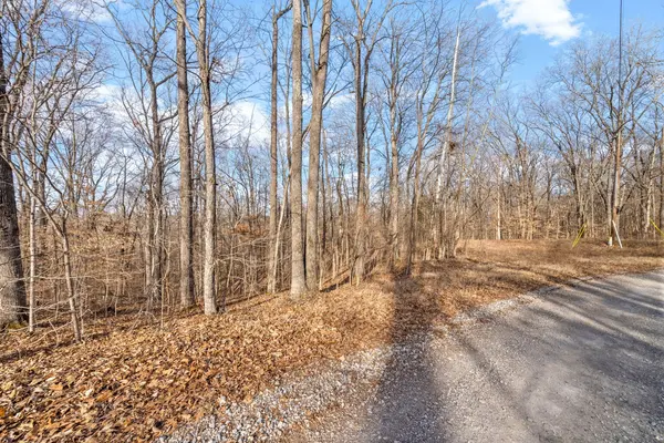 0 Doe Run Rd, Bumpus Mills, TN 37028