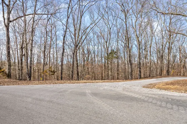 0 Doe Run Rd, Bumpus Mills, TN 37028