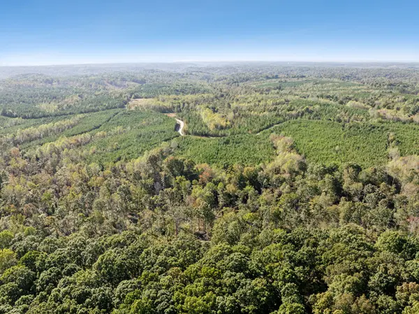0 Cox Hollow Rd, Dover, TN 37058