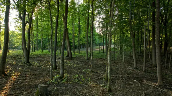 0 Keystone Drive,  Pleasant View,  TN 37146
