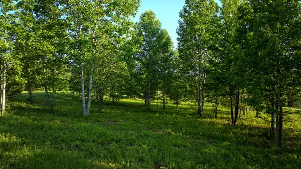 0 Keystone Drive, Pleasant View, TN 37146