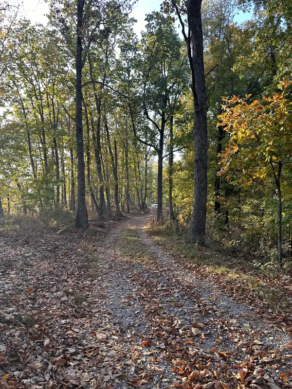 0 Foggy Mountain Road, Bradyville, TN 37026