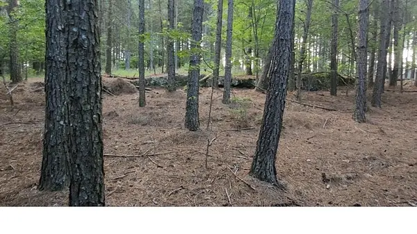 0 High Point Lane, Jasper, TN 37347