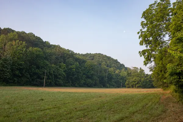 5425 Big East Fork Road, Franklin, TN 37064