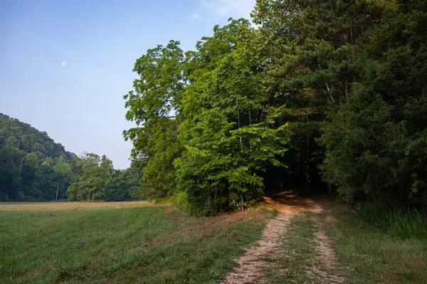 5425 Big East Fork Road, Franklin, TN 37064