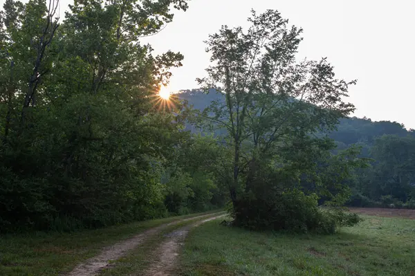5425 Big East Fork Road, Franklin, TN 37064