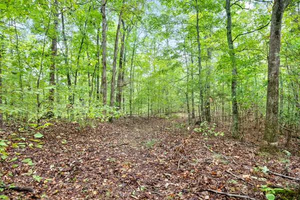 1 Chapel Rd, Dover, TN 37058