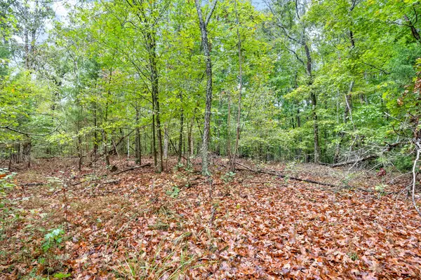 1 Chapel Rd, Dover, TN 37058