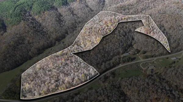 0 Downing Hollow Rd, Waynesboro, TN 38485