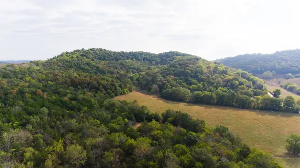 2700 Toll Gate Rd, Petersburg, TN 37144