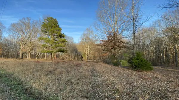 0 Old Union Loop, Paris, TN 38242