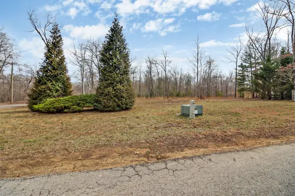 0 Mountain Preserve Parkway, Crab Orchard, TN 37723