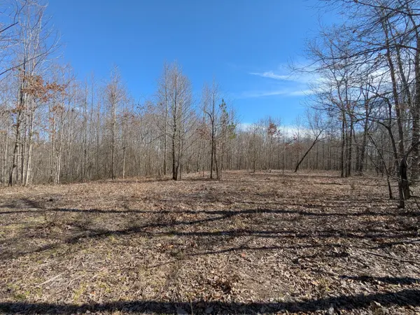 264 Baptist Branch Rd, Mount Pleasant, TN 38474
