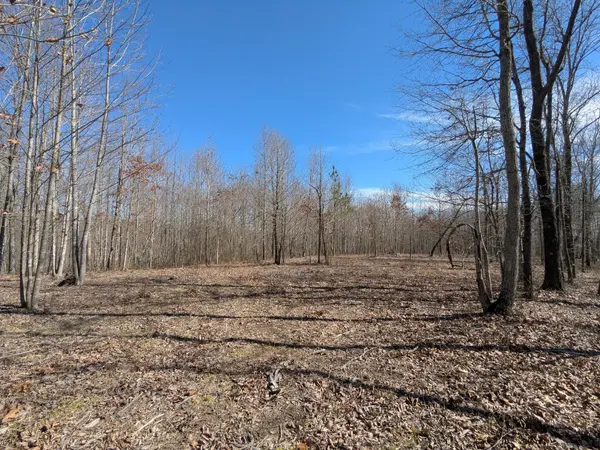 264 Baptist Branch Rd, Mount Pleasant, TN 38474