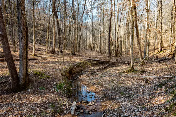 1627 Hurricane Creek, Linden, TN 37096