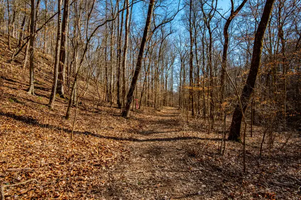 1627 Hurricane Creek, Linden, TN 37096