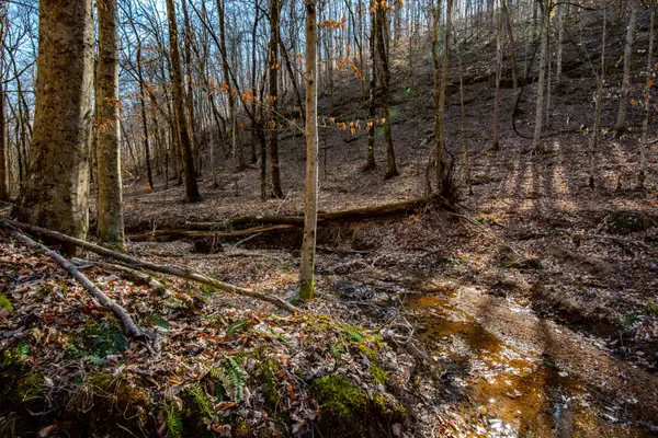 1627 Hurricane Creek, Linden, TN 37096