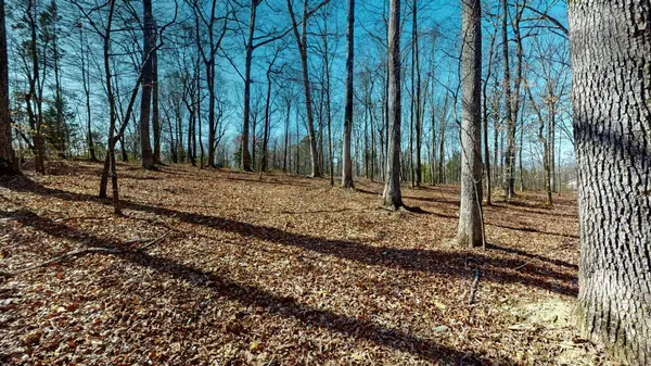 0 East Oak Dr, Bon Aqua, TN 37025
