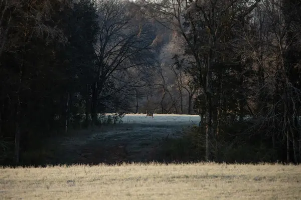 0 Carpenter Bridge Rd, Columbia, TN 38401