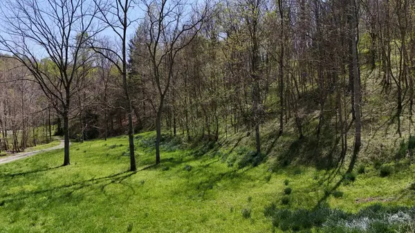 147 Big Creek Rd, Pleasant Shade, TN 37145