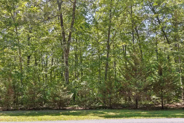223 Woodland Ridge Road, Dunlap, TN 37327