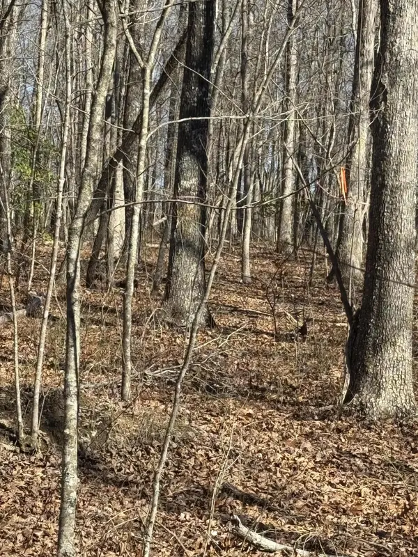 626 Woodland Ridge Road, Dunlap, TN 37327