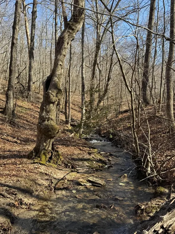 626 Woodland Ridge Road, Dunlap, TN 37327