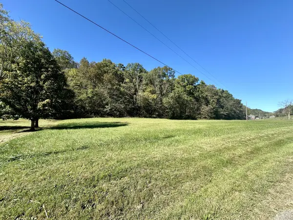 0 Carver Hollow Lane, Pleasant Shade, TN 37145