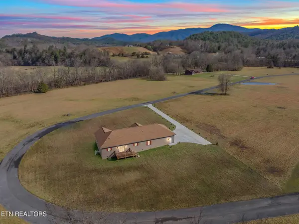 404 Kaylees Loop Rd, Del Rio, TN 37727