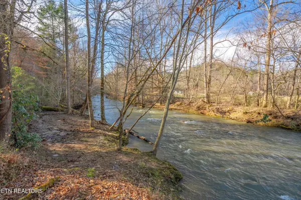 404 Kaylees Loop Rd, Del Rio, TN 37727