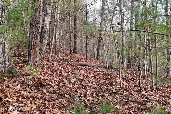 0 Bristol Hwy, Elizabethton, TN 37643
