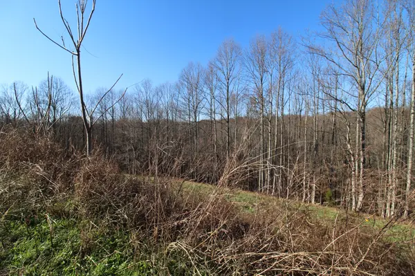 211 Coley Court, Lafayette, TN 37083