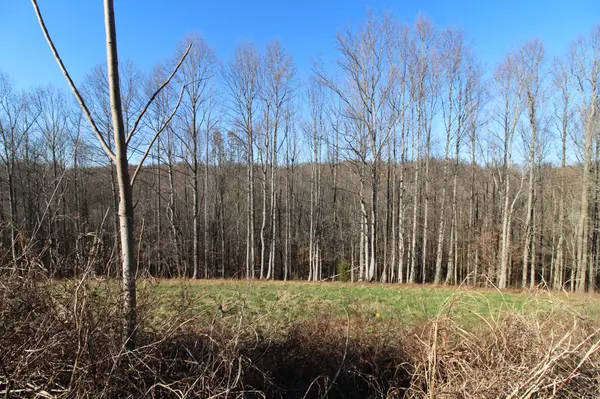 211 Coley Court, Lafayette, TN 37083