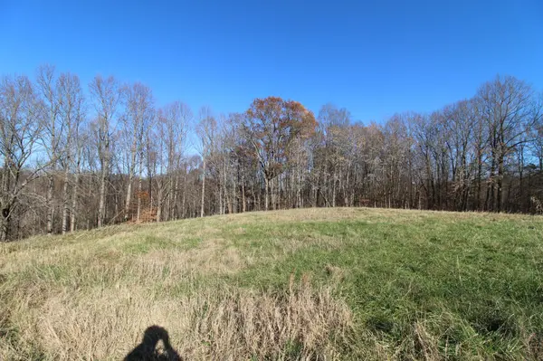 218 Coley Court, Lafayette, TN 37083