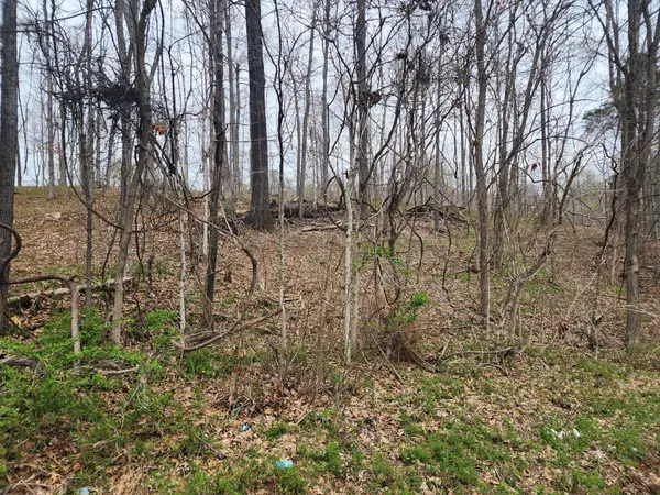 0 Gossett Rd, Ashland City, TN 37015