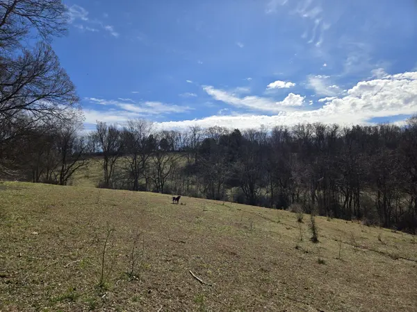 0 Ella West Circle #E, Lynnville, TN 38472