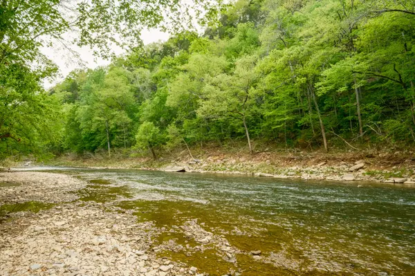 500 Bishop Ln, Center, KY 42214