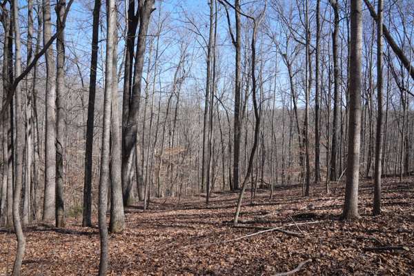 5717 Quest Ridge Rd, Franklin, TN 37064