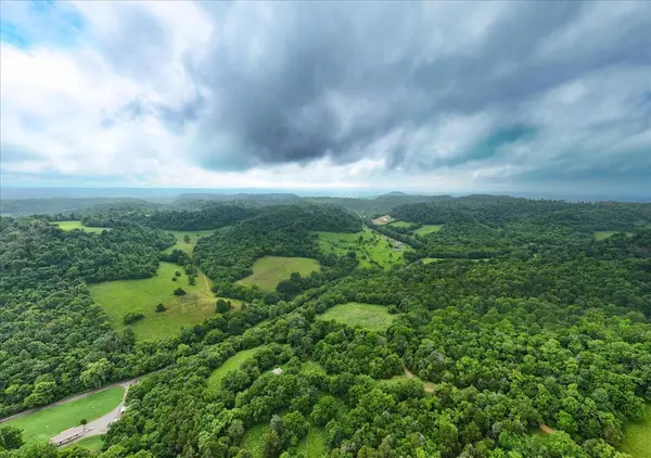 0 Opossum Paw Road, Beechgrove, TN 37018